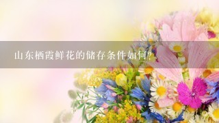 山东栖霞鲜花的储存条件如何?