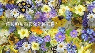 鲜花的运输安全如何确保?