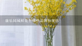 康乐同城鲜花有哪些品牌和规格?