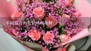 不同花卉的生长环境如何?