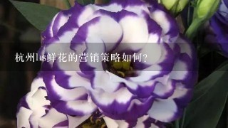 杭州hs鲜花的营销策略如何?