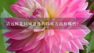 清远鲜花同城速递的联系方式有哪些?