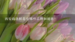 西安商洛鲜花有哪些品牌和规格?