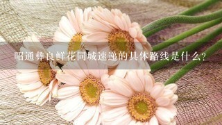 昭通彝良鲜花同城速递的具体路线是什么?