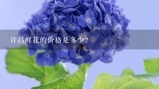 许昌鲜花的价格是多少?